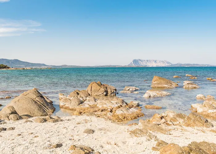 Apartamento I Lecci *